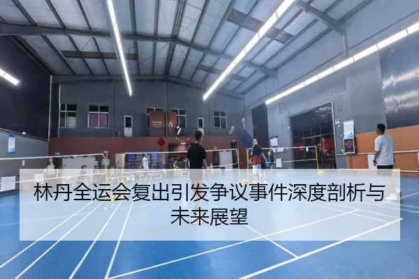 林丹全运会复出引发争议事件深度剖析与未来展望