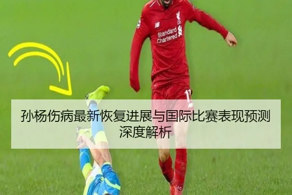孙杨伤病最新恢复进展与国际比赛表现预测深度解析